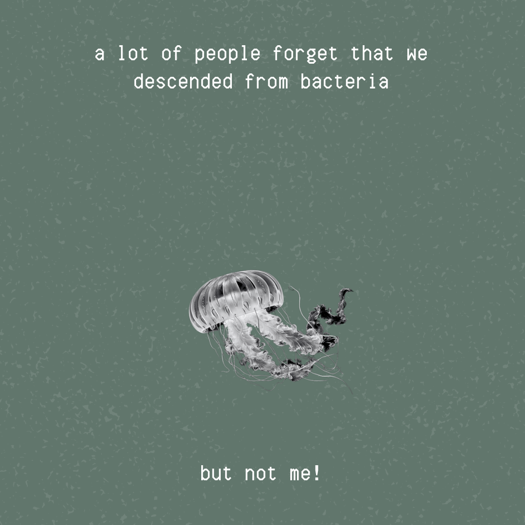 81